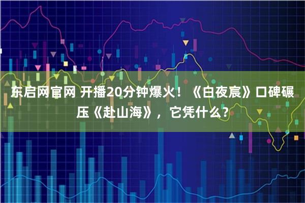 东启网官网 开播20分钟爆火！《白夜宸》口碑碾压《赴山海》，它凭什么？