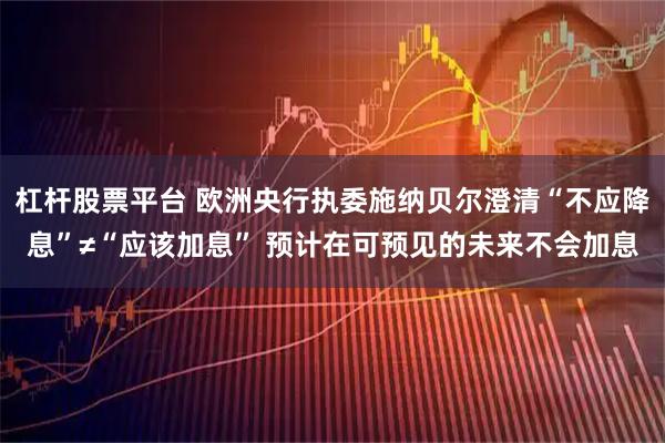 杠杆股票平台 欧洲央行执委施纳贝尔澄清“不应降息”≠“应该加息” 预计在可预见的未来不会加息